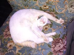 -星宿秘码(鼓浪屿老店)