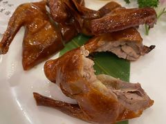 红烧乳鸽-益利大酒楼(井岸店)