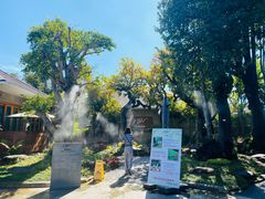 -Chom Cafe and Restaurant