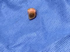 -安徽医科大学第一附属医院(绩溪路院区)