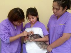 -瑞鹏宠物医院·爱宠堂·骨外专科(西荷分院)