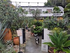 -自由生长植物工作室(深港花卉中心店)