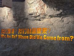 -国家自然博物馆