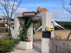 -上海长兴岛郊野公园