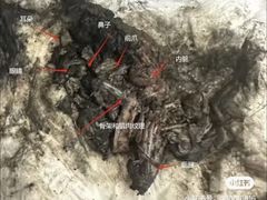 -御面斋精品面馆