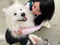 -星多哈·狗咖·拼豆·咖啡