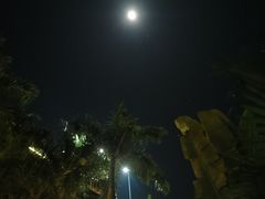 -广州市流溪河国家森林公园