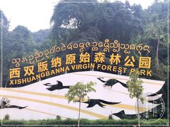 -西双版纳原始森林公园