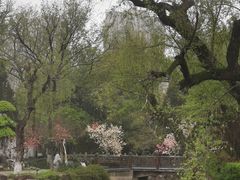-水绘园
