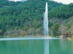 -广州白江湖森林公园