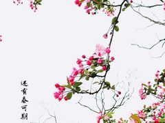 -莫愁湖公园