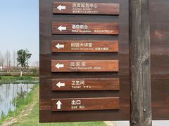 -田园东方蜜桃村的田野营地