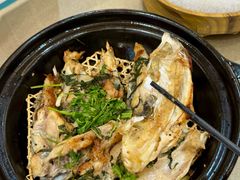-丰尔粥食·顺德鱼生·干蒸排骨顺德菜(大良分店)