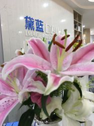 点击看大图 -黛蓝形象定制
