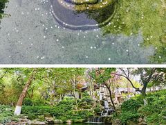 -趵突泉景区