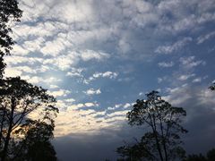 -南湖湿地公园