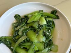 -大连北马山庄