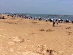 -日照灯塔风景区