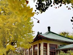 -中国农业博物馆