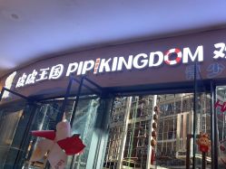 -PIPIKINGDOM皮皮王国欢乐号(欢乐海岸购物中心店)