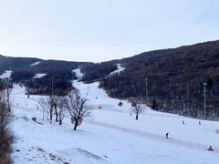 -中旅松花湖滑雪场