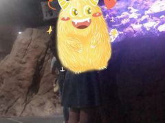 -杭州海底世界