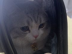 -天宠宠物医院24小时·急重症诊疗中心·全科·腔镜特色(和平分院)