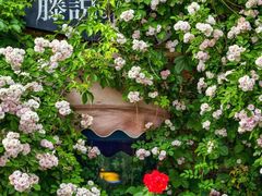 -元大都城垣遗址公园