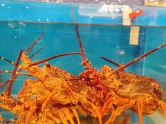 -财神岛·大连海鲜餐厅
