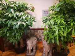 -石头咕(葵蓬店)