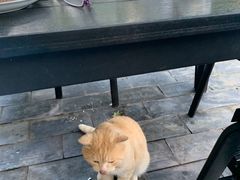 -炊烟餐厅