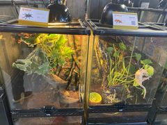-宠物世家(仲盛世界商城店)