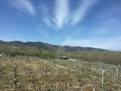 -那家山城(樱桃园店)