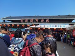 -武汉紫薇都市田园