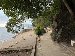 -抚仙湖禄充风景区