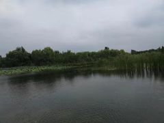 -溱湖国家湿地公园
