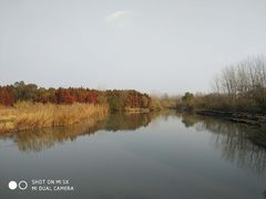 -溱湖国家湿地公园