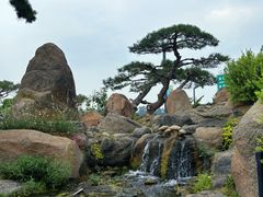 -罗红摄影艺术馆