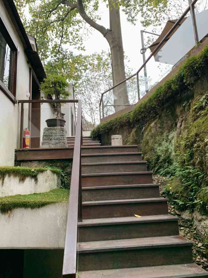 青竺·青竹茶舍(断桥店)-"去年来杭州搜的大众点评来的这家,觉得比较.