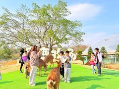 -盈香心动乐园
