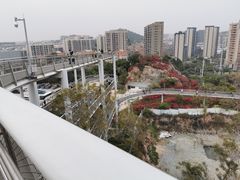 -狐尾山公园