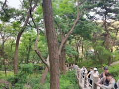 -崂山仰口游览区