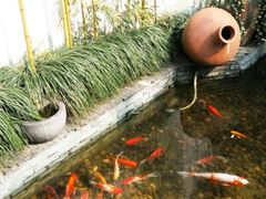 -幽篁里古琴制作中心