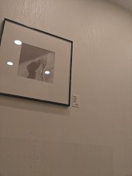 -智美品质医美
