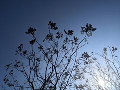 -韶山毛泽东同志故居