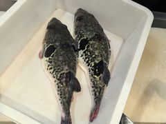 -天正河鲀·河豚亭(大连店)