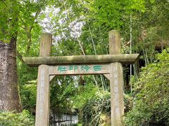 -西泠印社