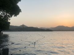 -杭州西湖柳莺里酒店·闻莺厅