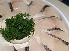 -蒙都43°9羊火锅·赤峰美食(宁城店)