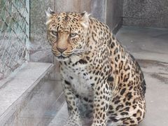 -西安秦岭野生动物园